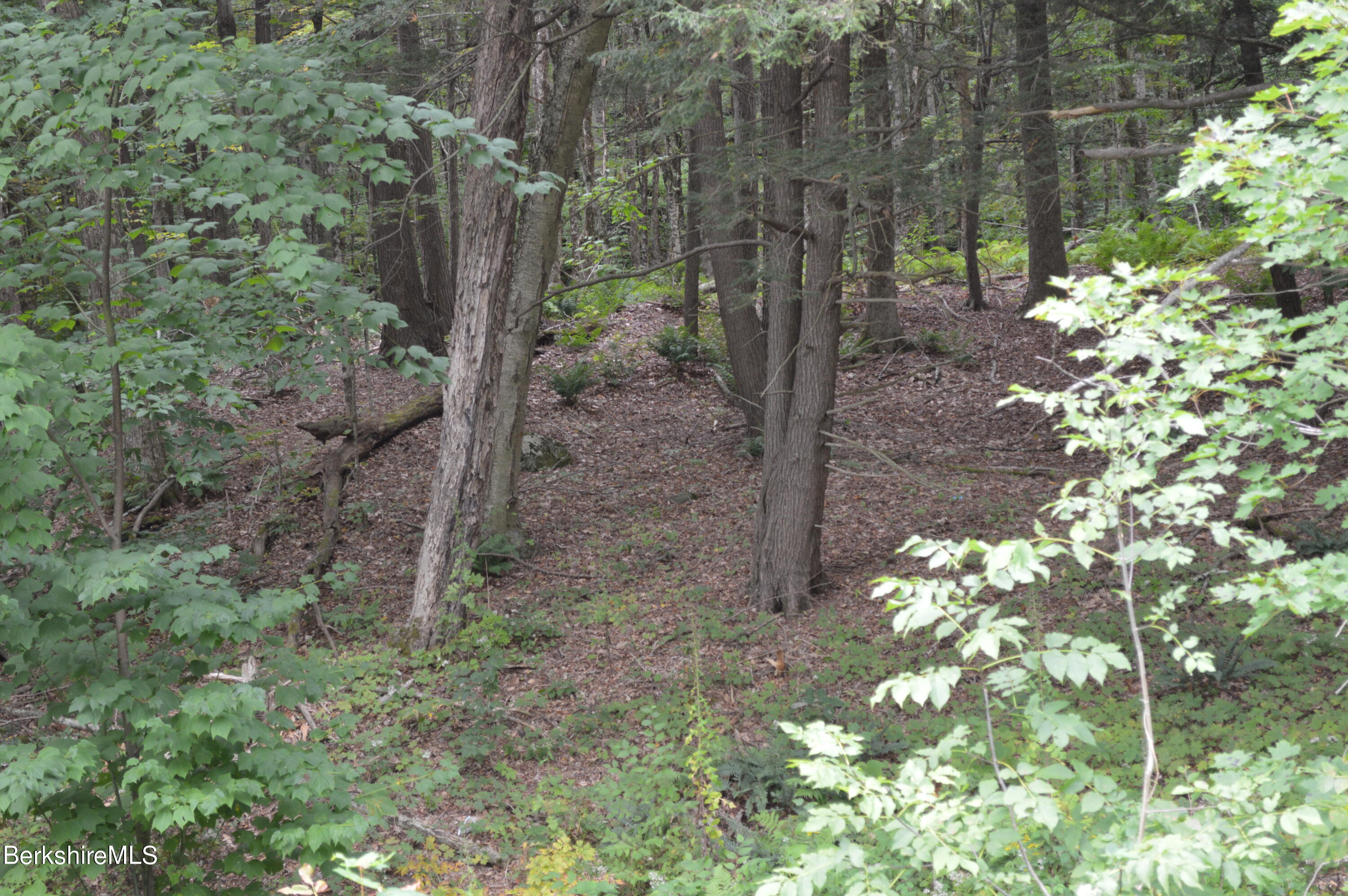 Lot 404-19 Jacobs Ladder Road Becket, MA 01223 - Photo 2 of 6 Some clearing