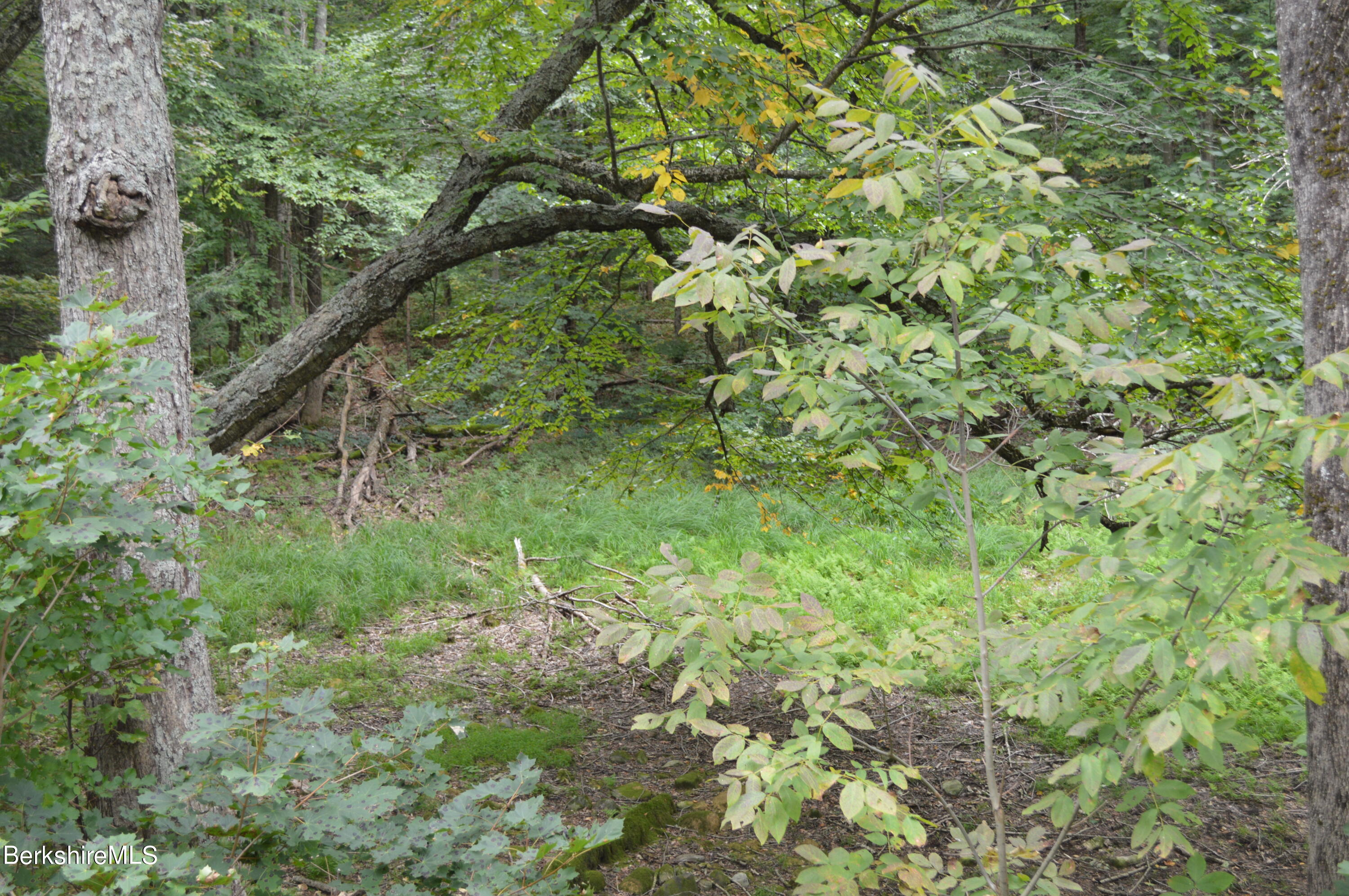Lot 404-19 Jacobs Ladder Road Becket, MA 01223 - Photo 3 of 6 Map 404-lots 18.1 &19