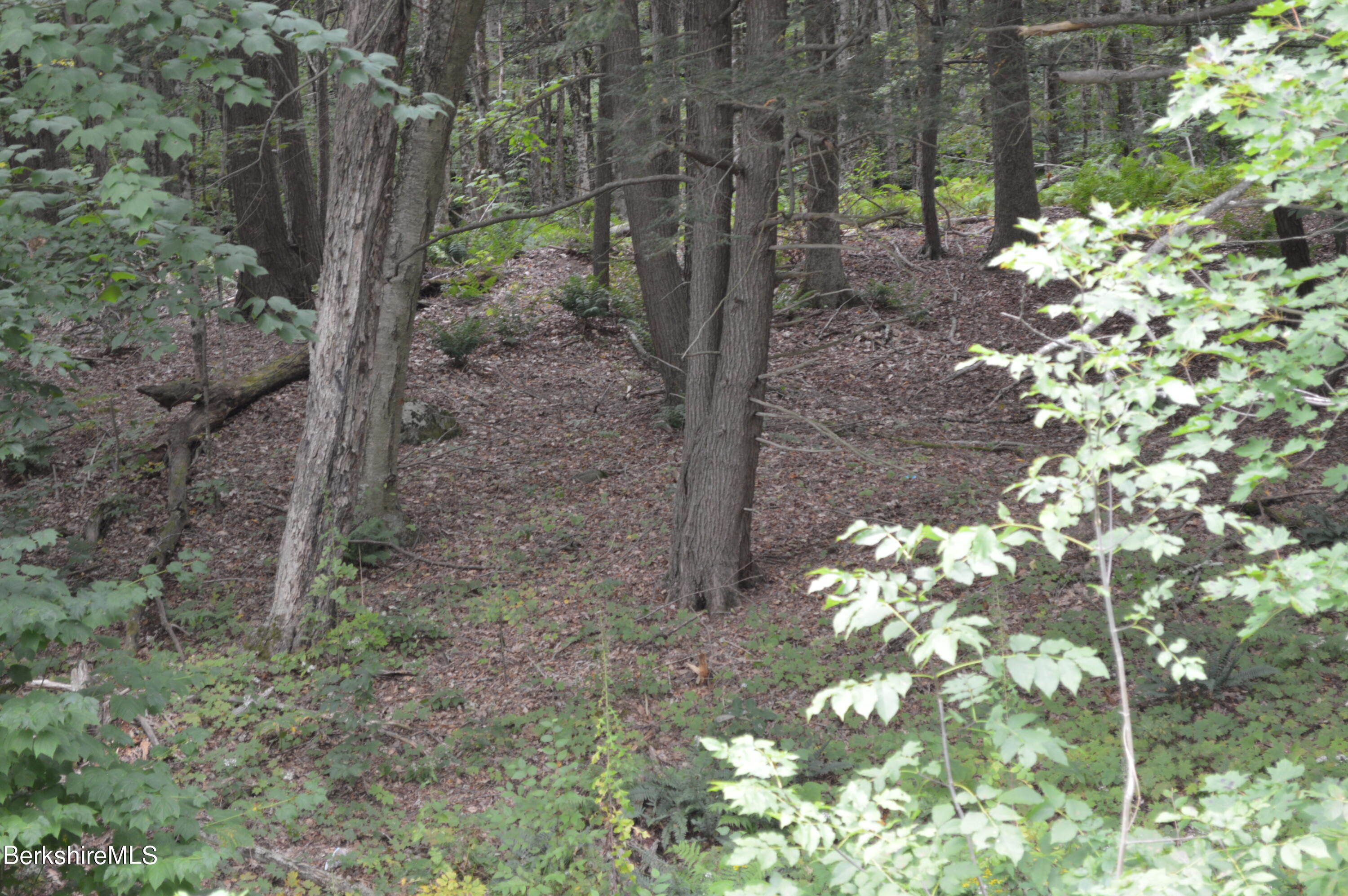 Lot 404-19 Jacobs Ladder Road Becket, MA 01223 - Photo 5 of 6 No HOA