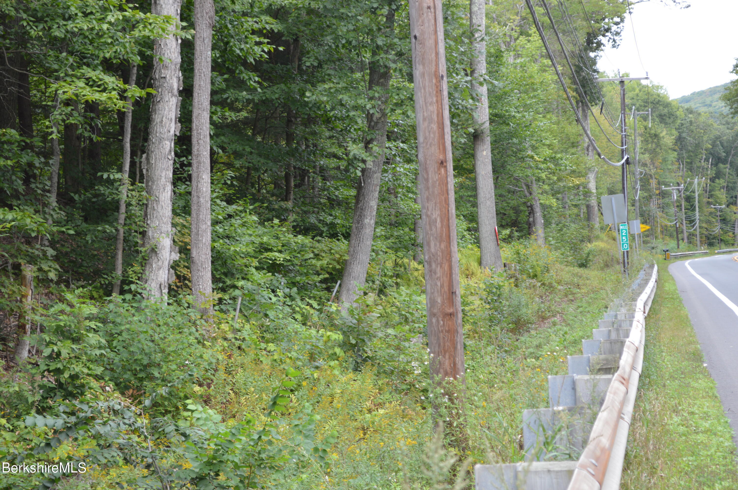 Lot 404-19 Jacobs Ladder Road Becket, MA 01223 - Photo 6 of 6 State Road