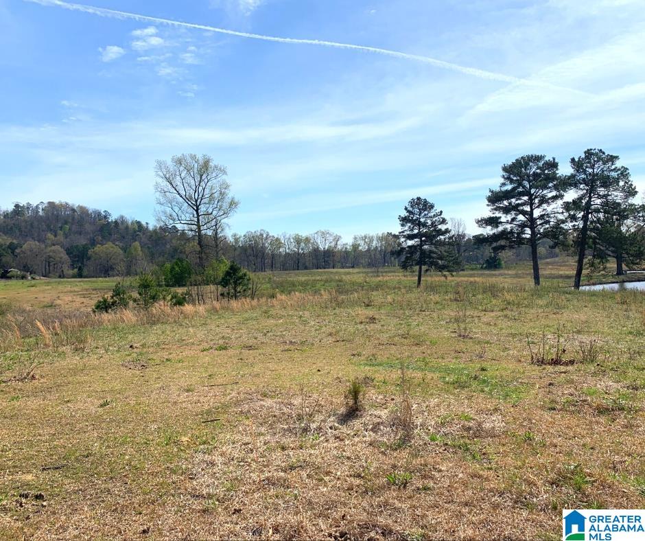 352 Daniel Road, Unit 97 17 ACRES Ohatchee, AL 36271 - Photo 3 of 17