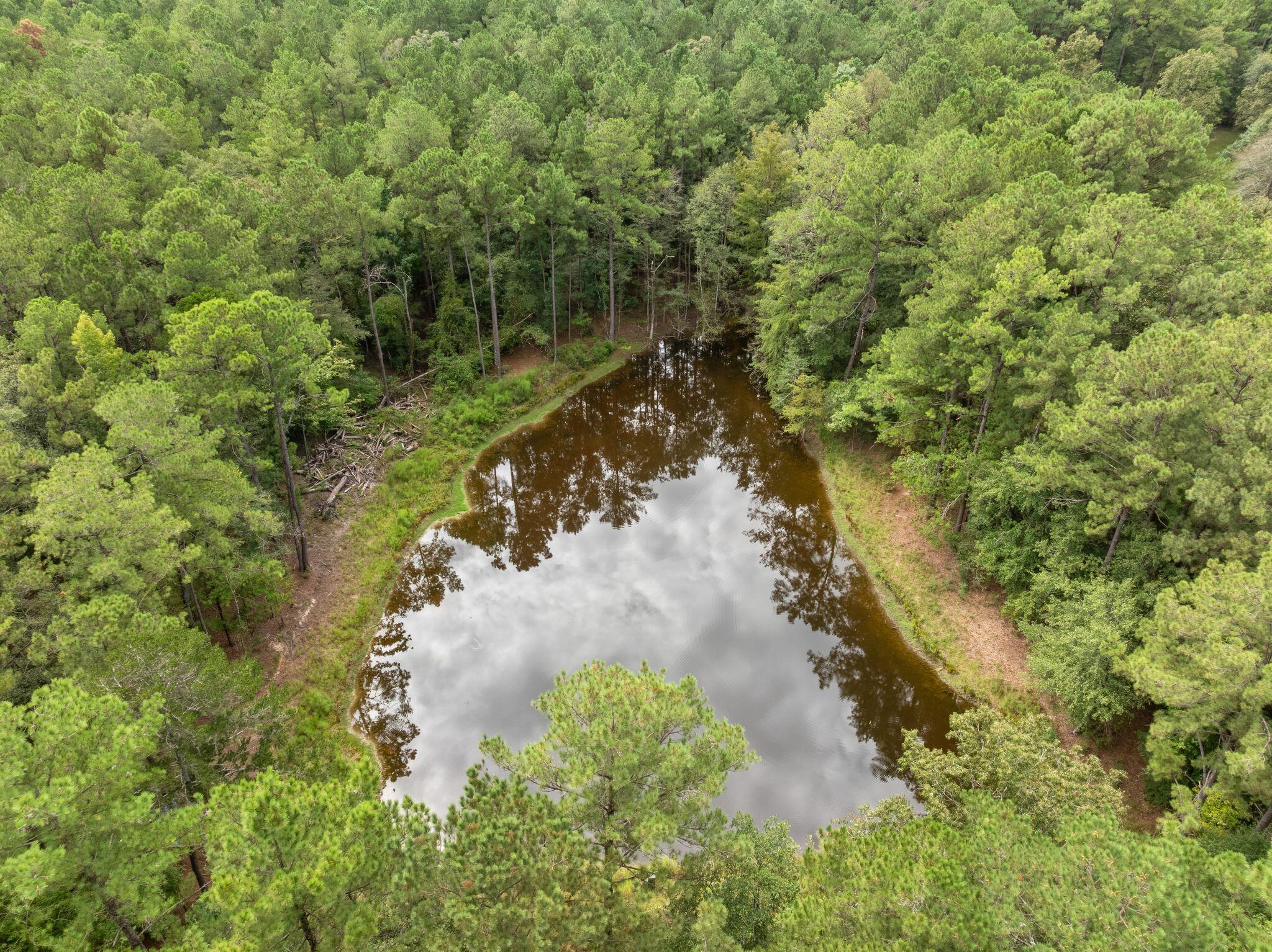 430 George Boutwell Cutoff Road Laurel, MS 39443 - Photo 40 of 52 Gallery Image 40