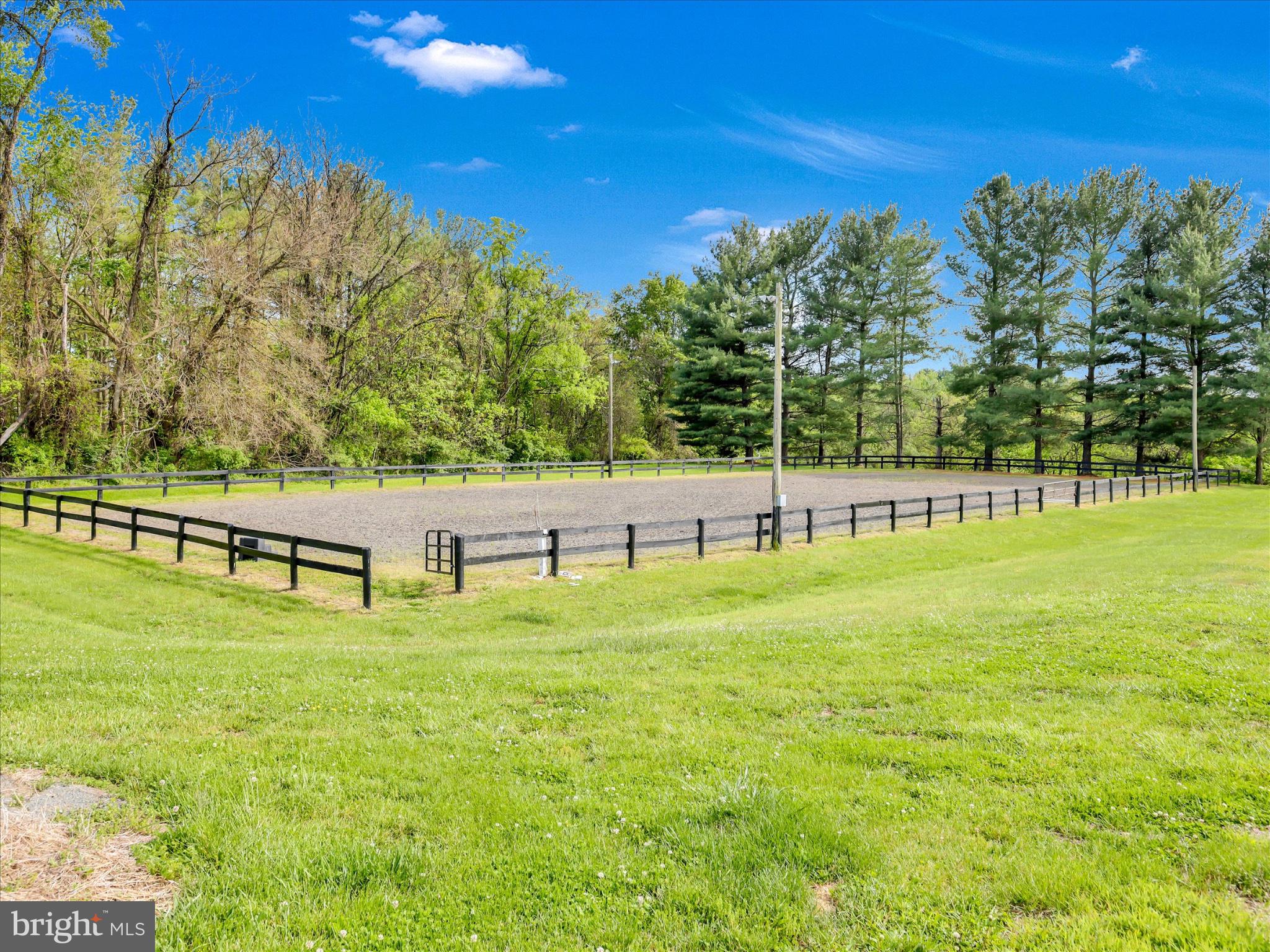 19255 Telegraph Springs Road Purcellville, VA 20132 - Photo 53 of 107 a view of yard with swimming pool and trees