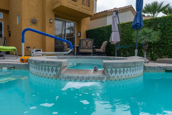 a view of outdoor space yard and patio