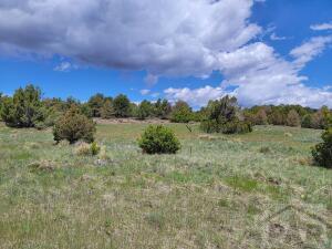 Lot 65 Navajo Ranch Walsenburg, CO 81089 - Photo 1 of 1