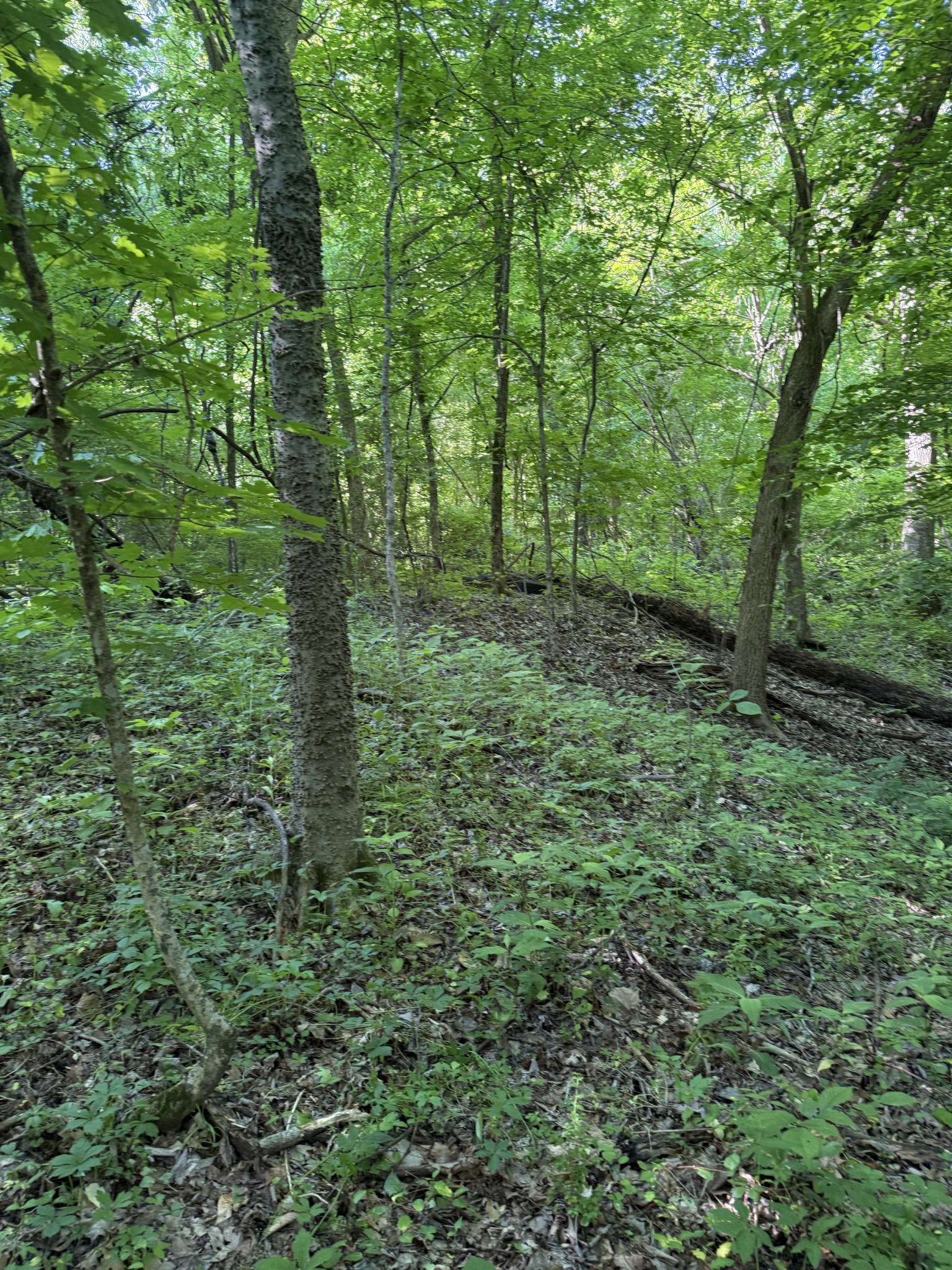 0 West Crigger Road Millington, TN 38053 - Photo 6 of 9