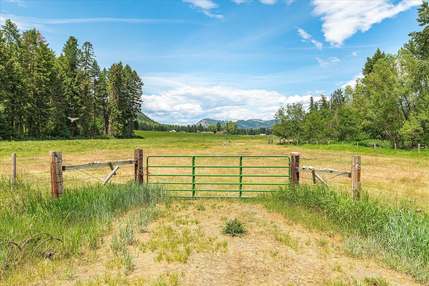 512 Williams Lake Road Colville, WA 99114 - Photo 31 of 44