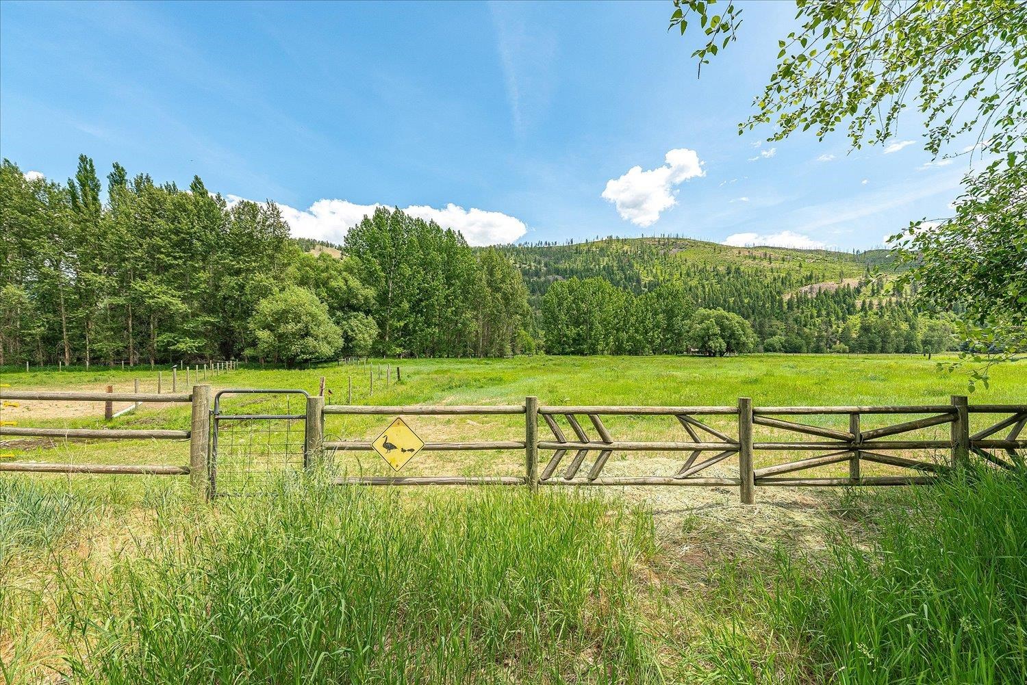 512 Williams Lake Road Colville, WA 99114 - Photo 44 of 49