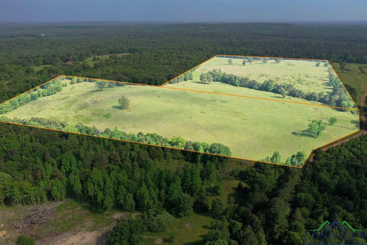 Tbd Orchid Road Ore City, TX 75683 - Photo 1 of 36 Gallery Image 1
