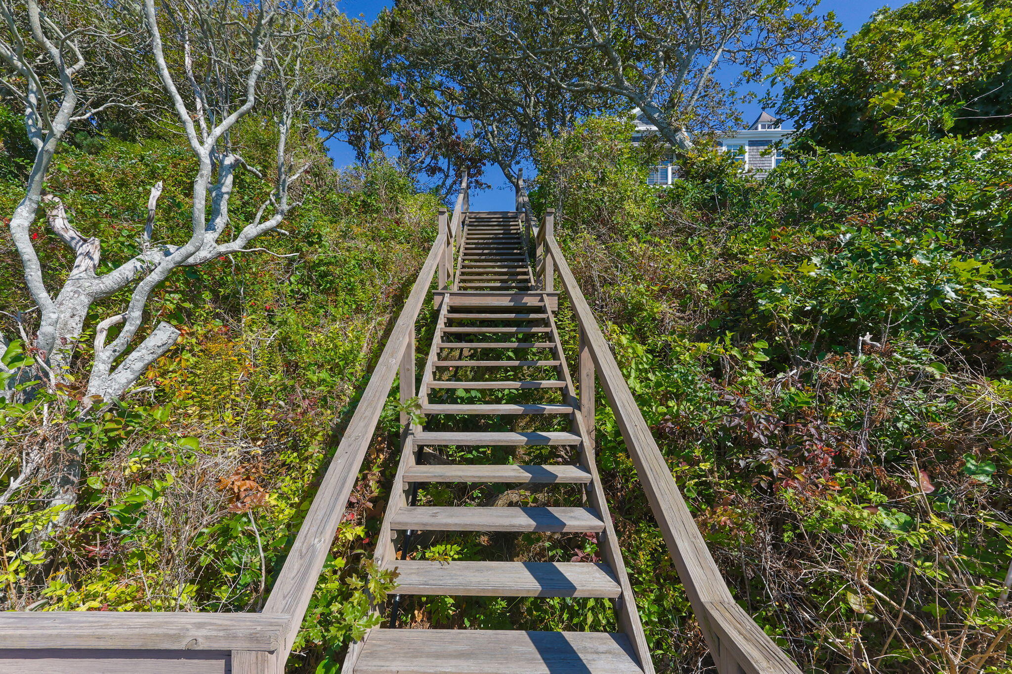 246 Stage Island Road Chatham, MA 02633 - Photo 40 of 46 130-web-or-mls-246-stage-island-rd