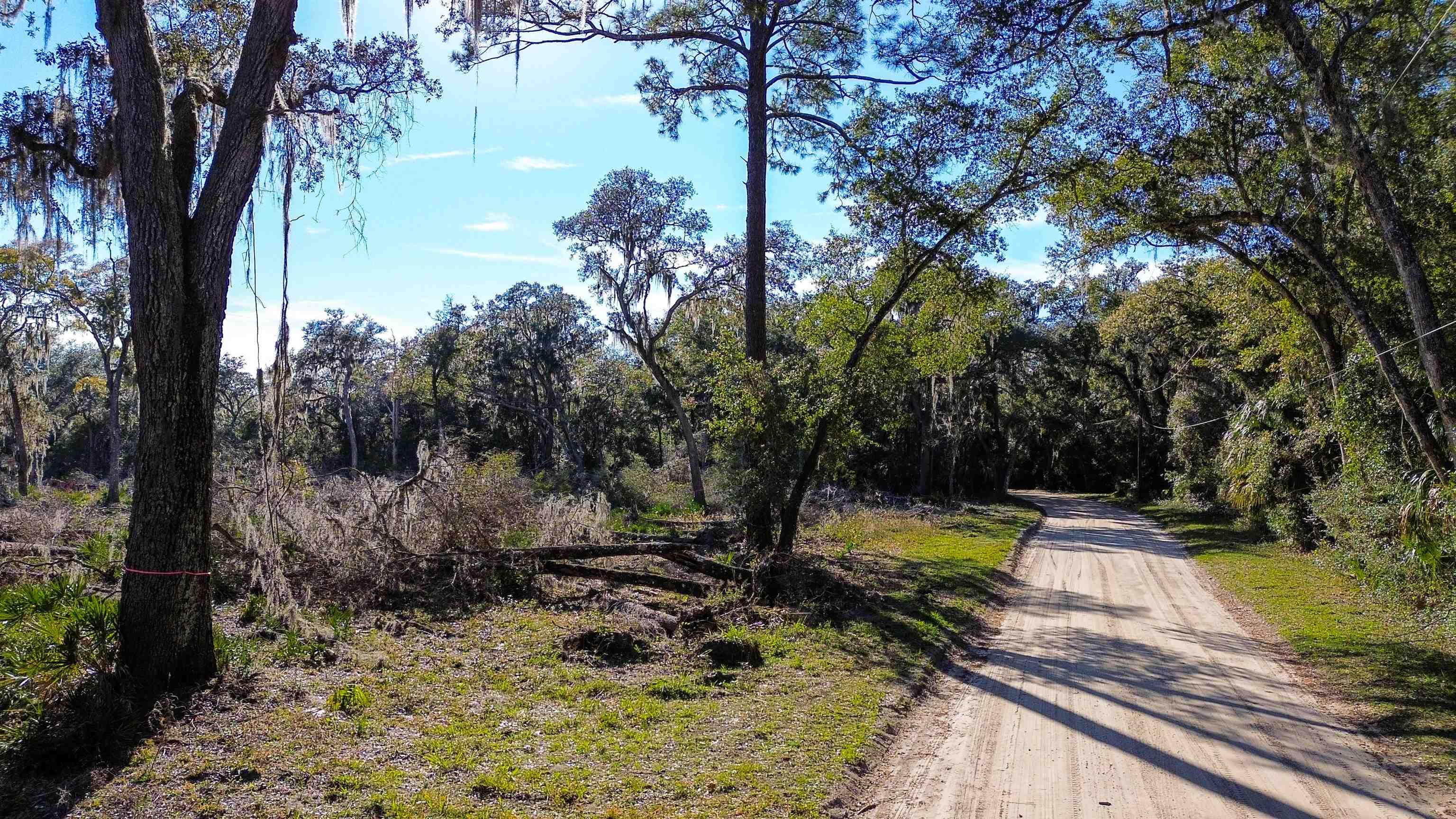 Pine Island Rd Street St. Augustine, FL 32095 - Photo 12 of 20 Gallery Image 12