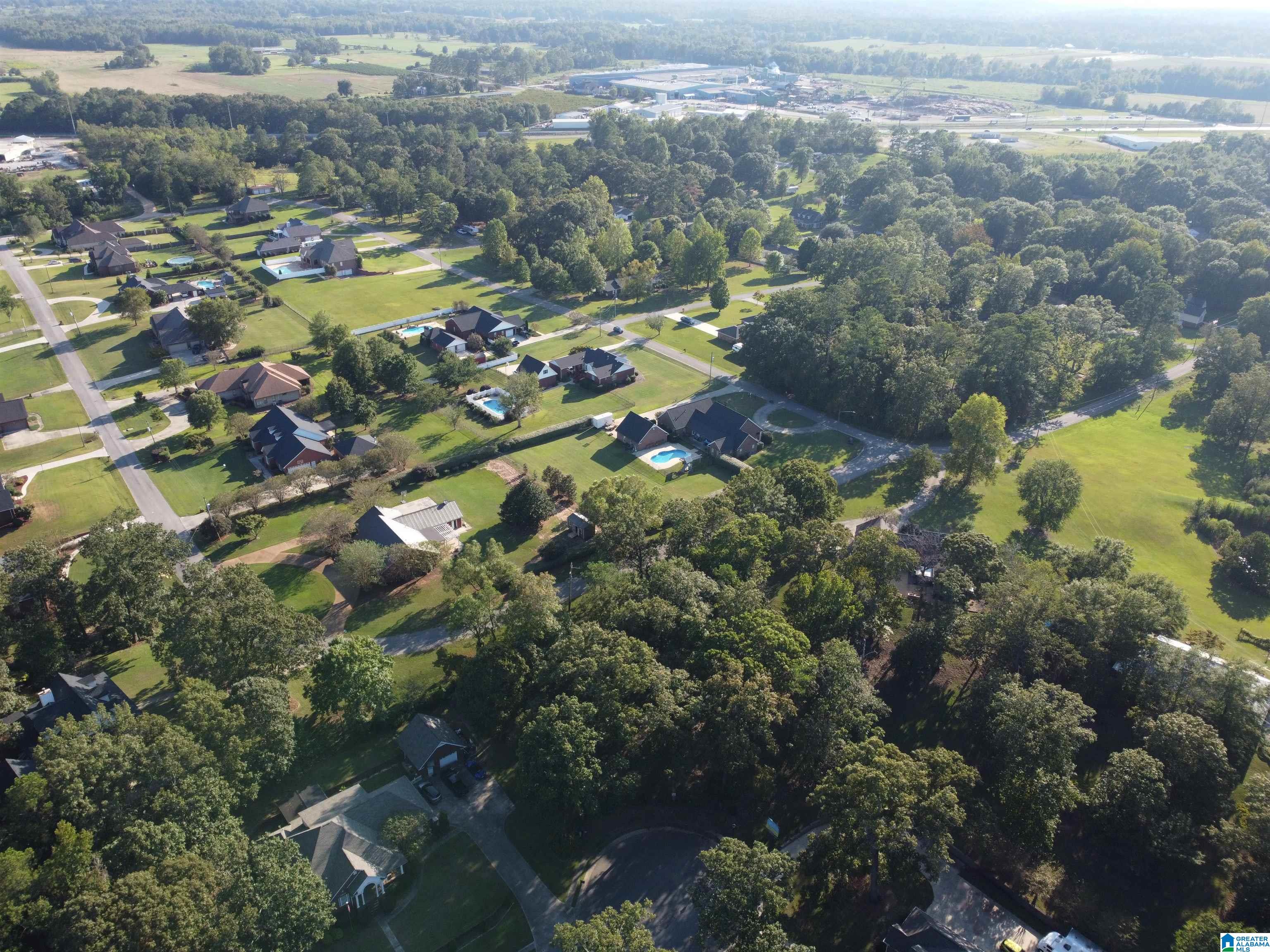 Lot 16 Riley Circle, Unit 16 Thorsby, AL 35171 - Photo 10 of 19