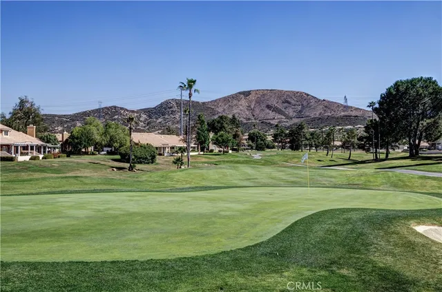 a view of a grassy field with trees