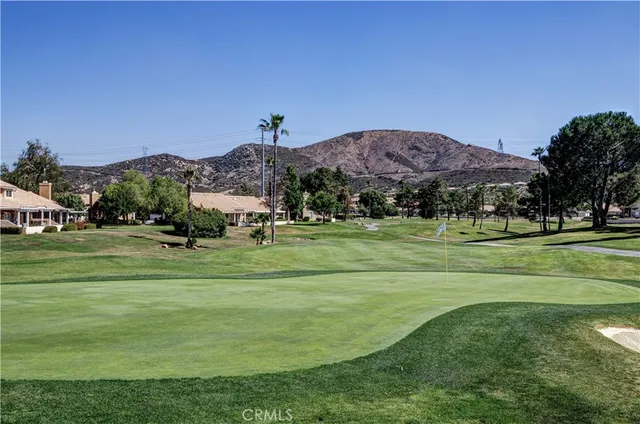 a view of a grassy field with trees