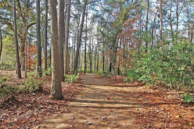 2823 Rutherford Way Charleston, SC 29414 - Photo 11 of 19 Carolina Bay Parks and Trails
