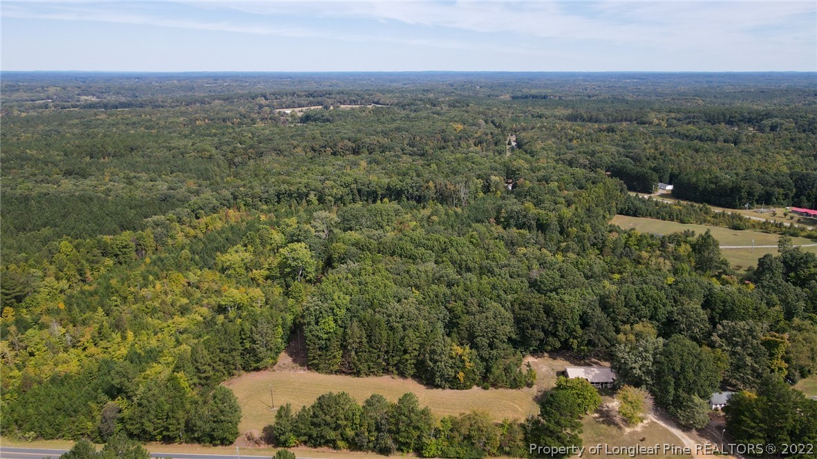 Bellview Road Robbins, NC 27325 - Photo 3 of 14 an aerial view of forest
