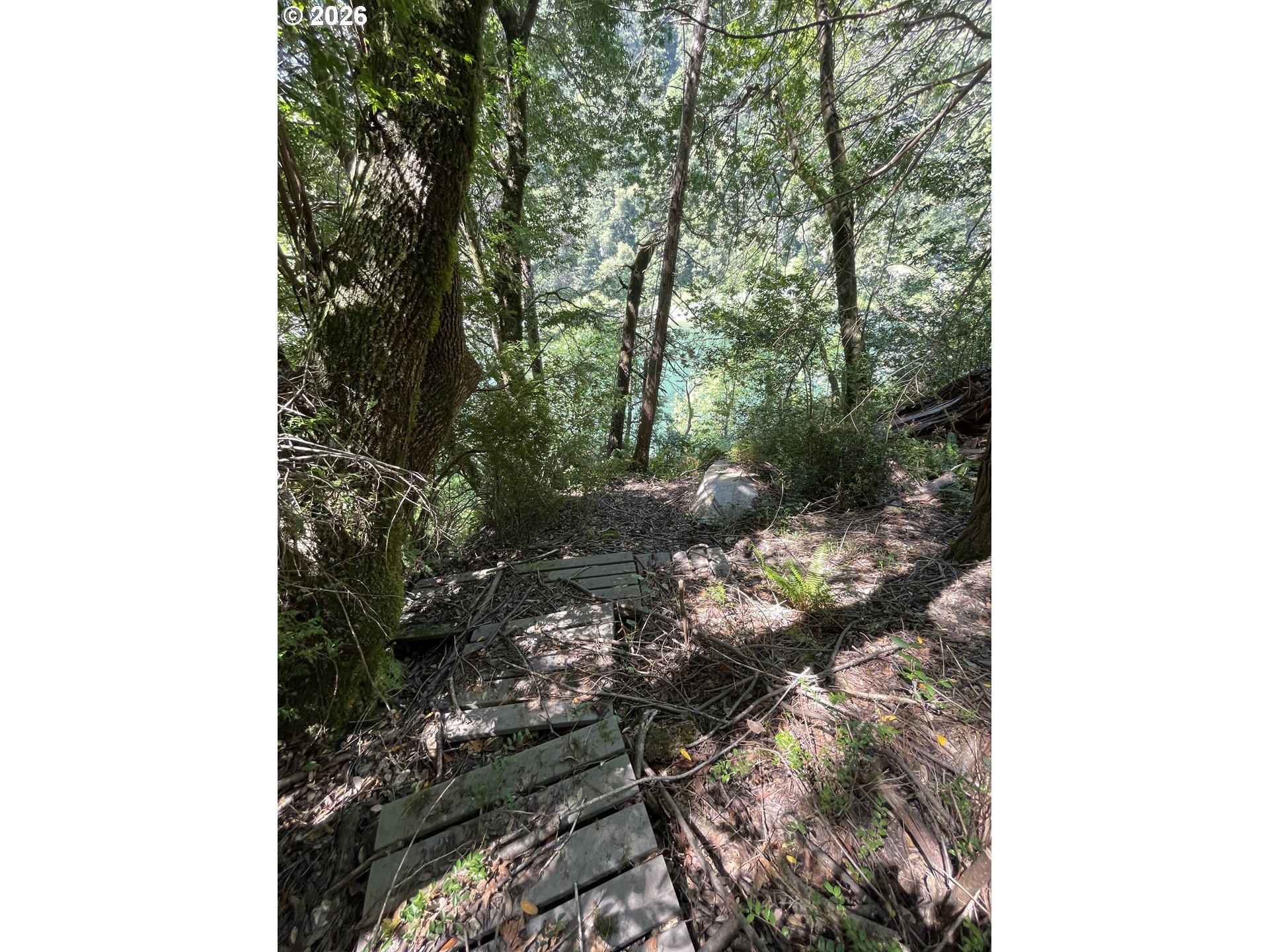 33090 Lupine Way Agness, OR 97406 - Photo 17 of 24
