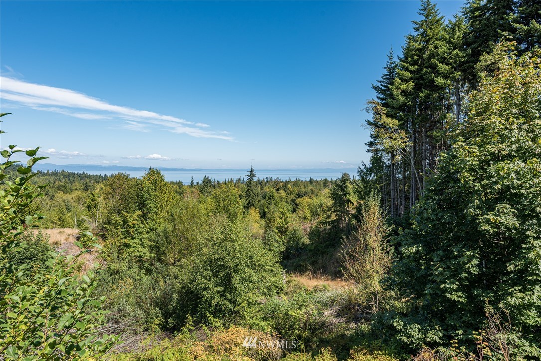 356 Lawrence Road Port Angeles, WA 98363 - Photo 28 of 32 Gallery Image 28
