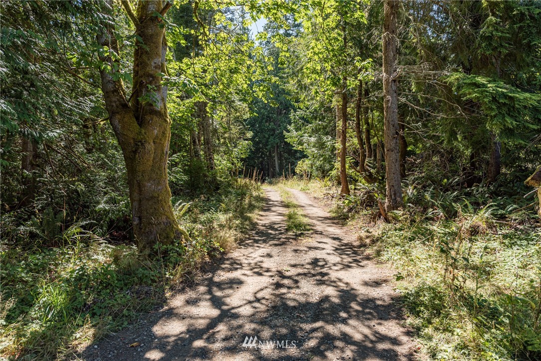 356 Lawrence Road Port Angeles, WA 98363 - Photo 31 of 32 Gallery Image 31