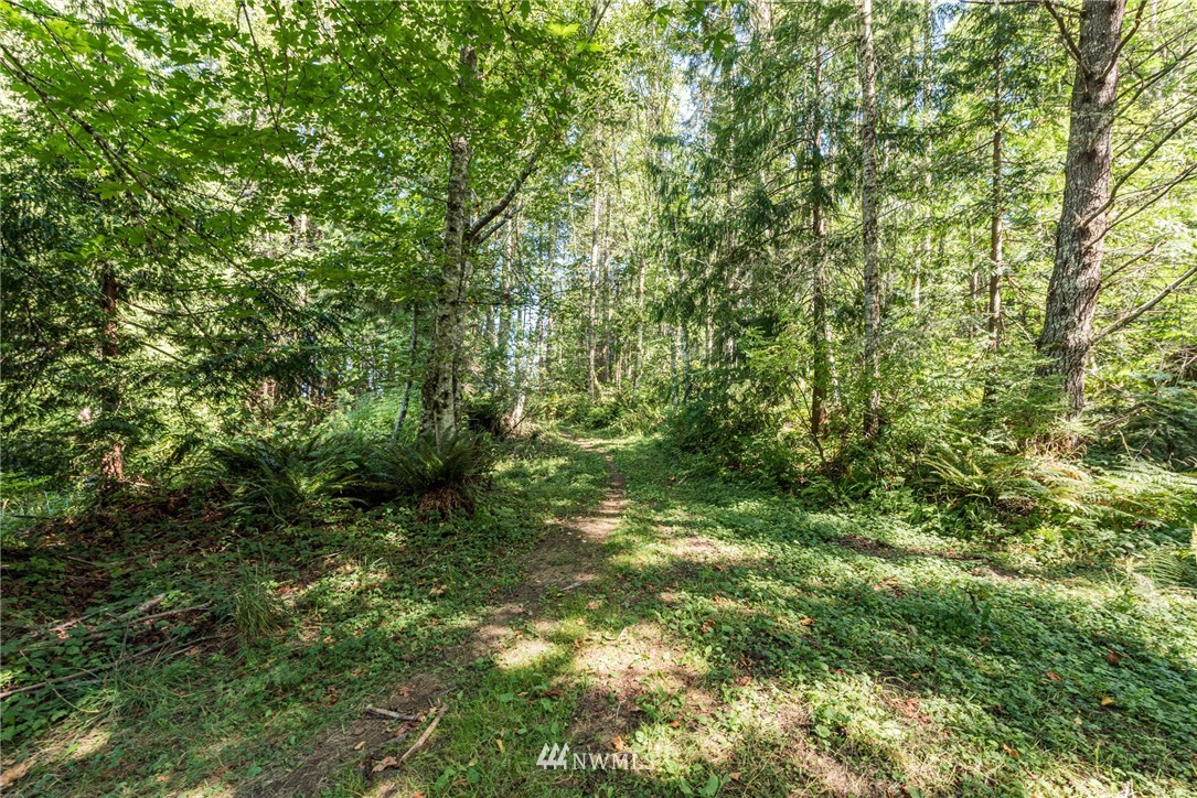 356 Lawrence Road Port Angeles, WA 98363 - Photo 32 of 32 Gallery Image 32