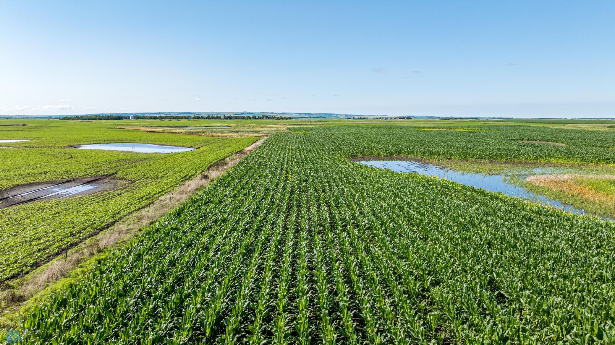 Tbd 94th Street Southeast Rutland, ND 58067 - Photo 19 of 33