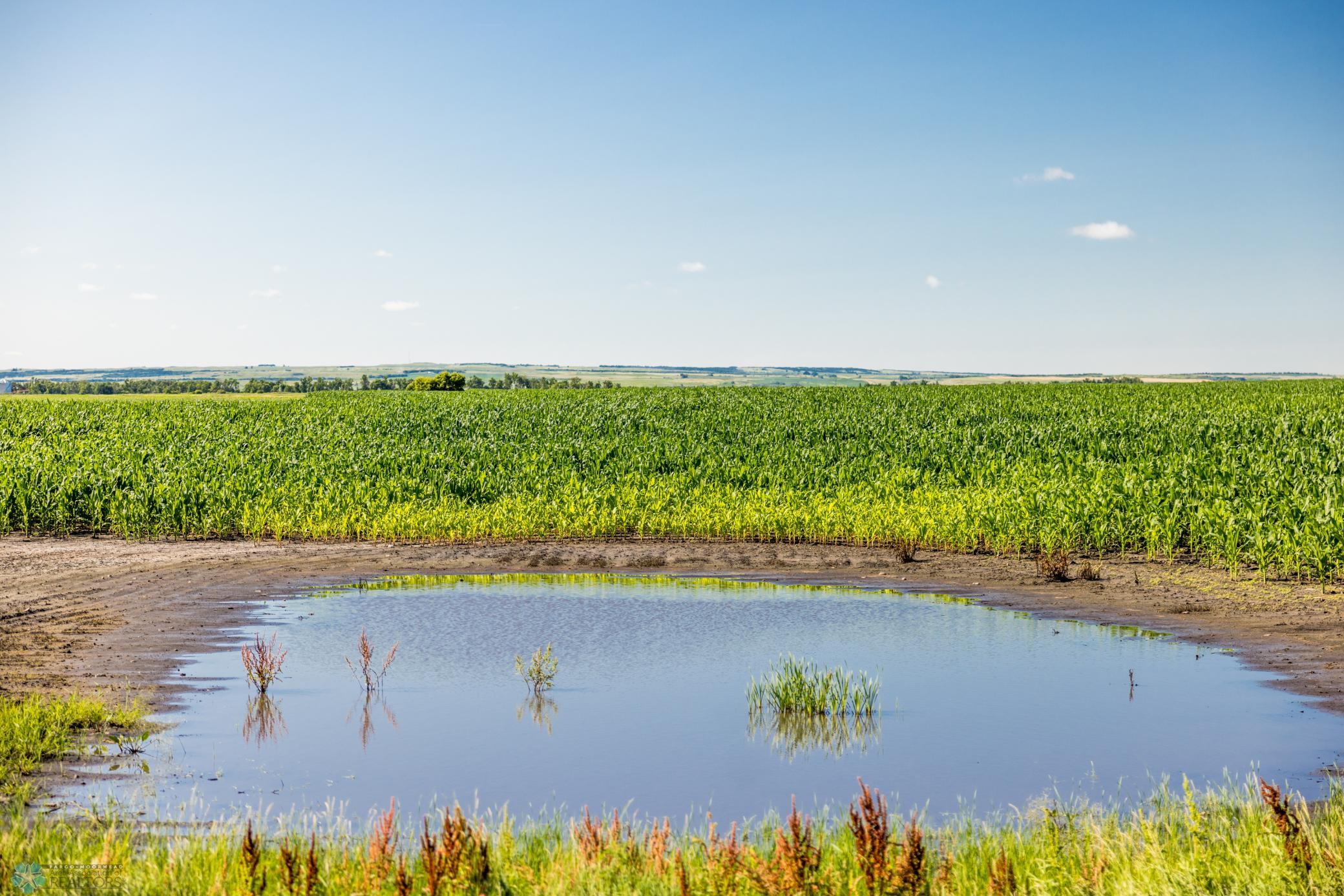 Tbd 94th Street Southeast Rutland, ND 58067 - Photo 23 of 33