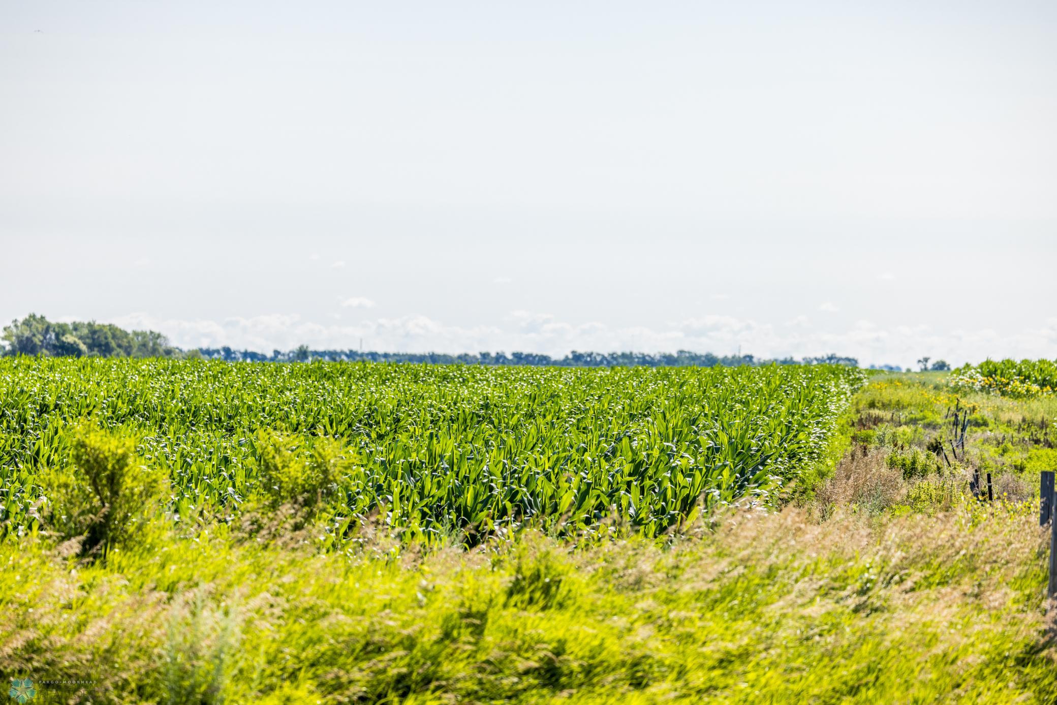 Tbd 94th Street Southeast Rutland, ND 58067 - Photo 29 of 33