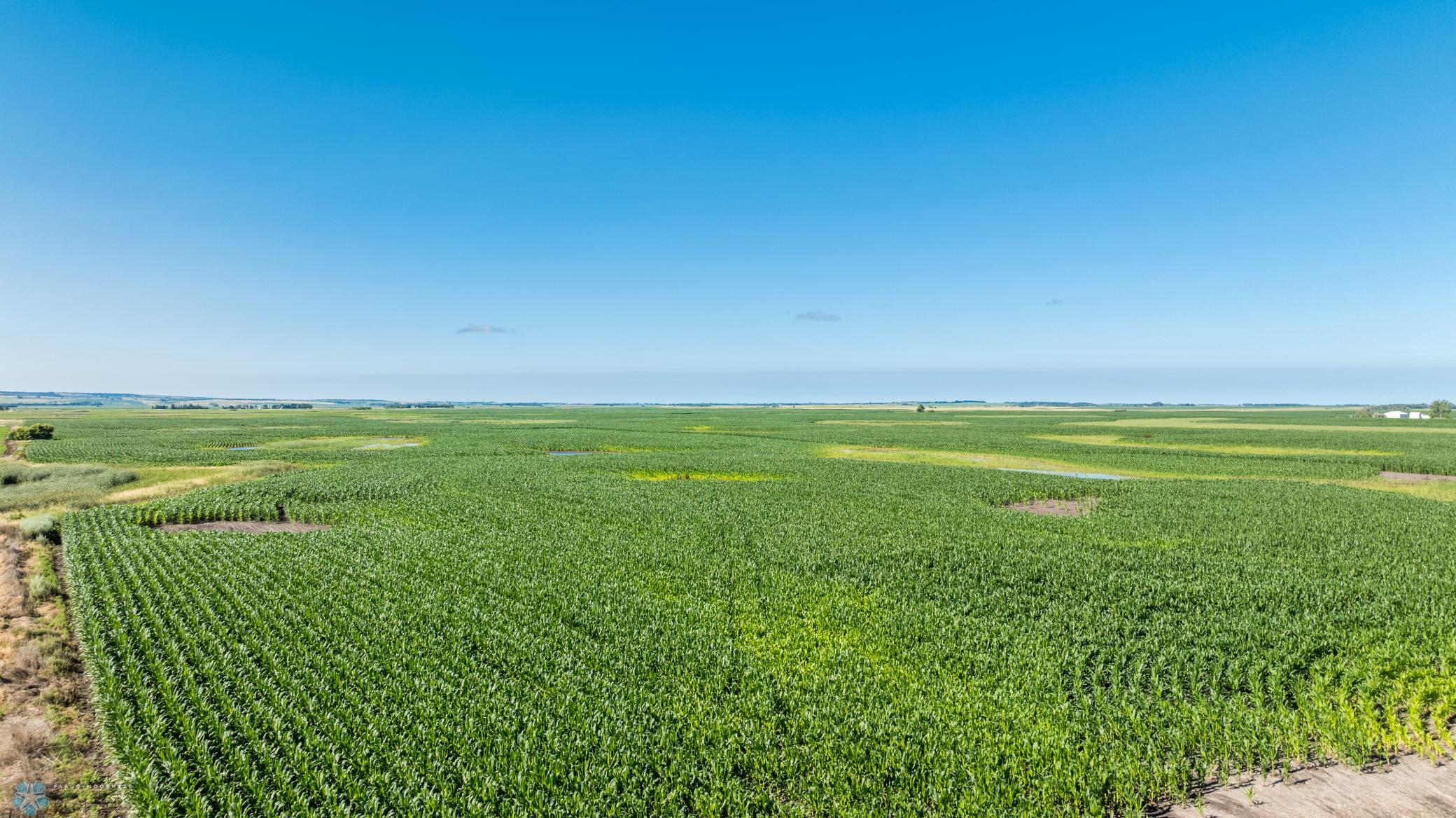 Tbd 94th Street Southeast Rutland, ND 58067 - Photo 4 of 33