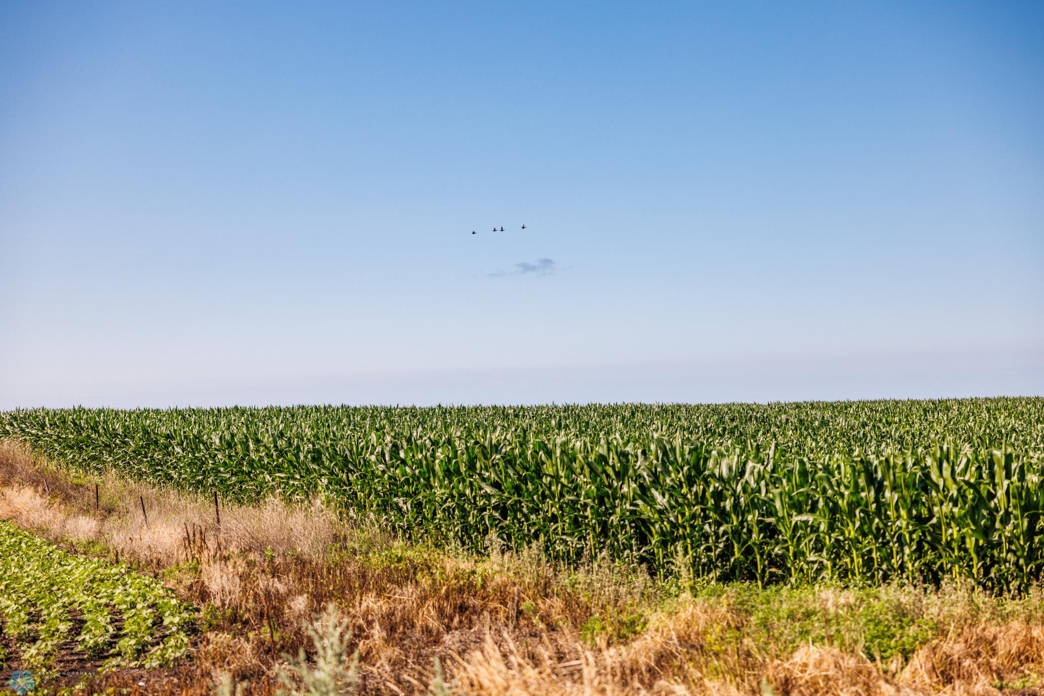Tbd 94th Street Southeast Rutland, ND 58067 - Photo 5 of 33