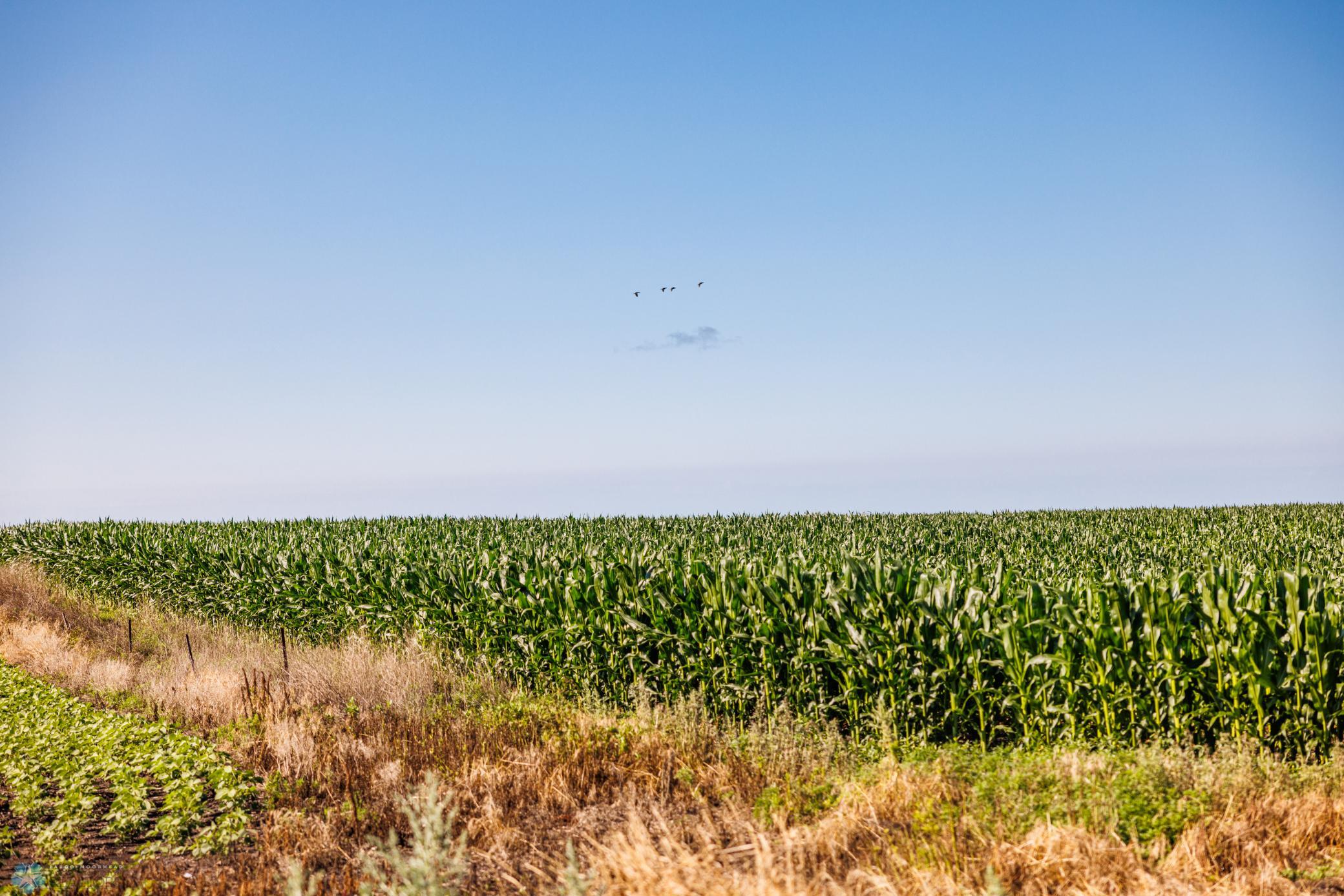 Tbd 94th Street Southeast Rutland, ND 58067 - Photo 6 of 33
