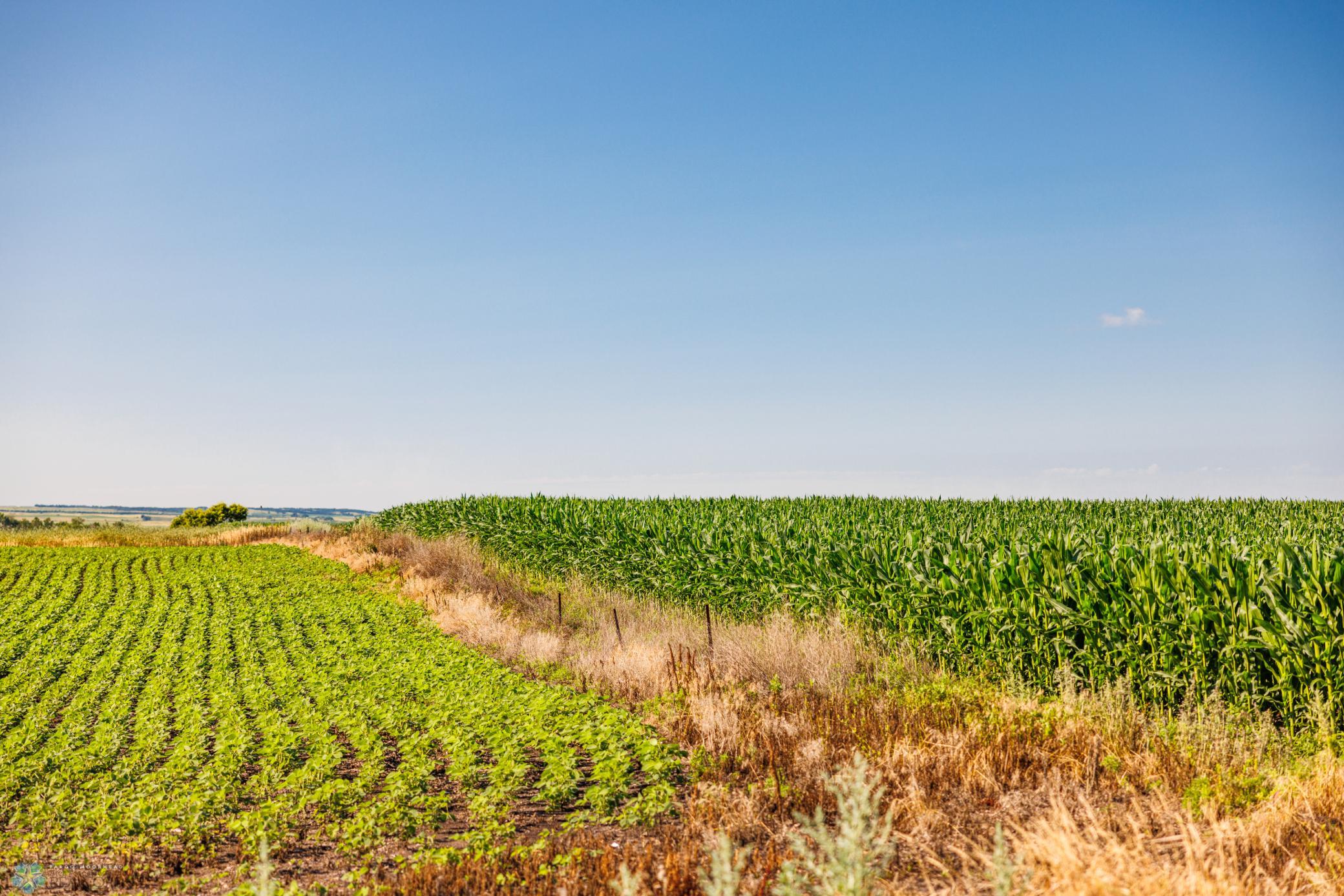 Tbd 94th Street Southeast Rutland, ND 58067 - Photo 8 of 33