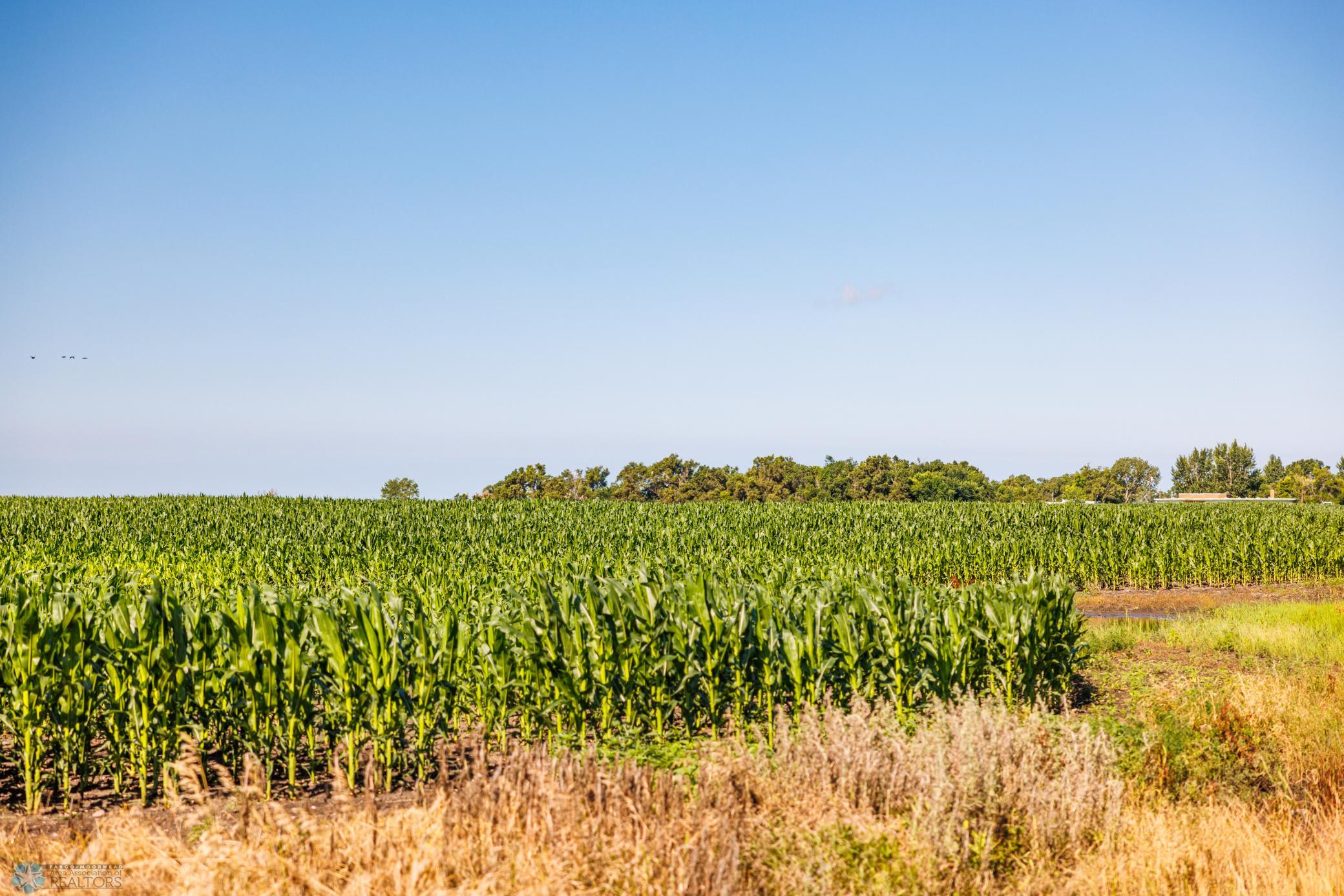 Tbd 94th Street Southeast Rutland, ND 58067 - Photo 9 of 33