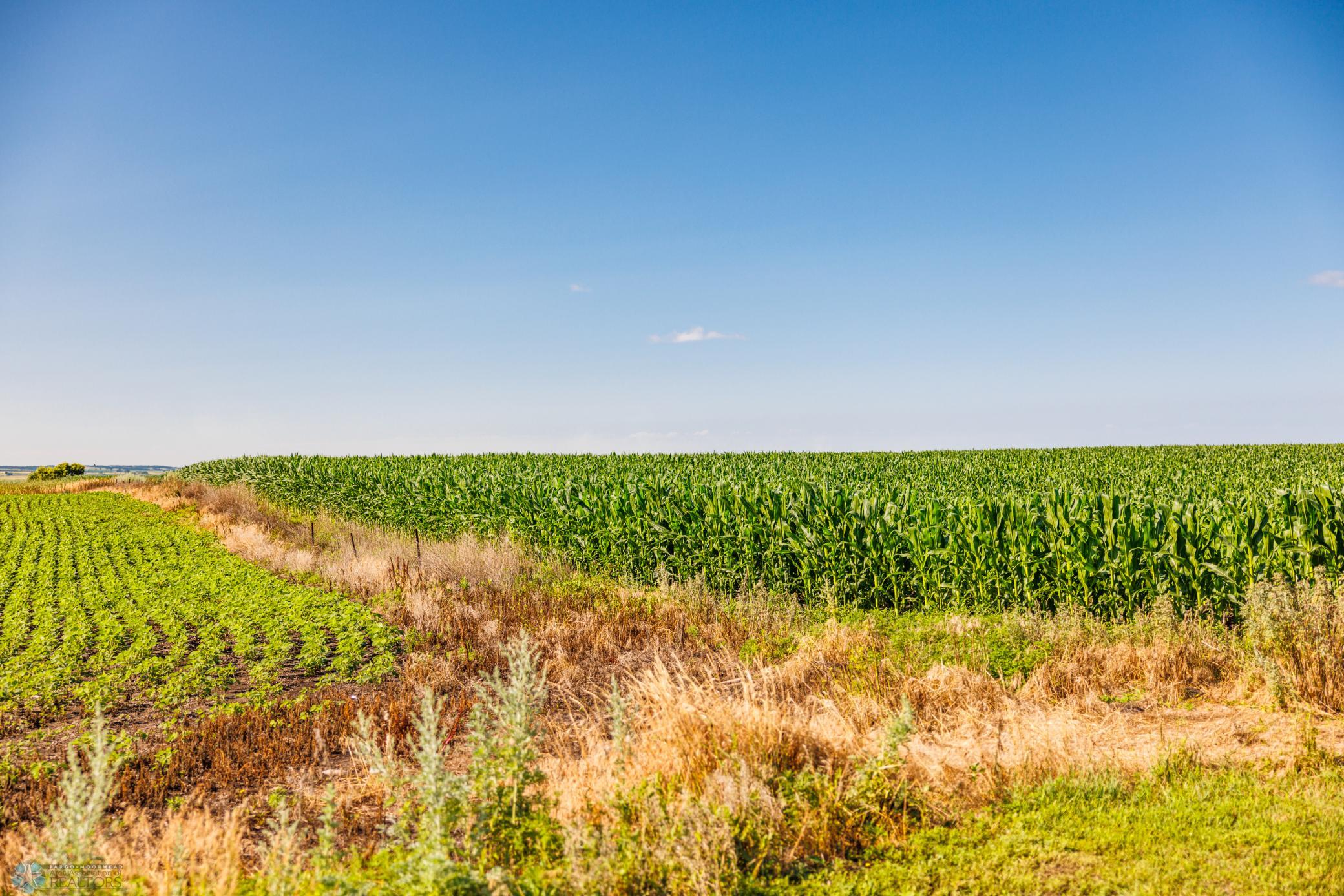 Tbd 94th Street Southeast Rutland, ND 58067 - Photo 10 of 33