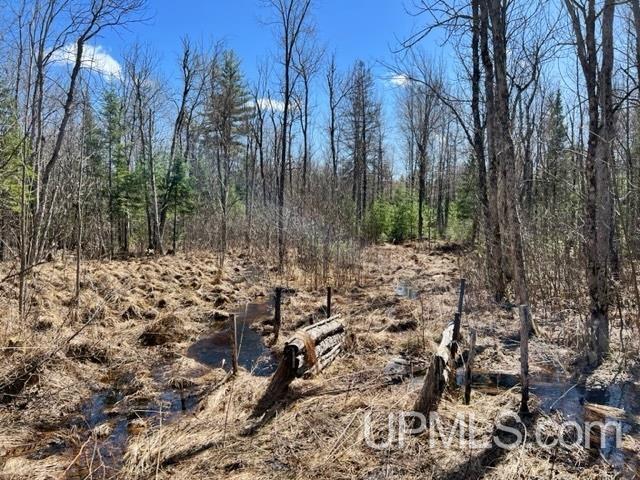 N21331 W Road Niagara, WI 54151 - Photo 36 of 38