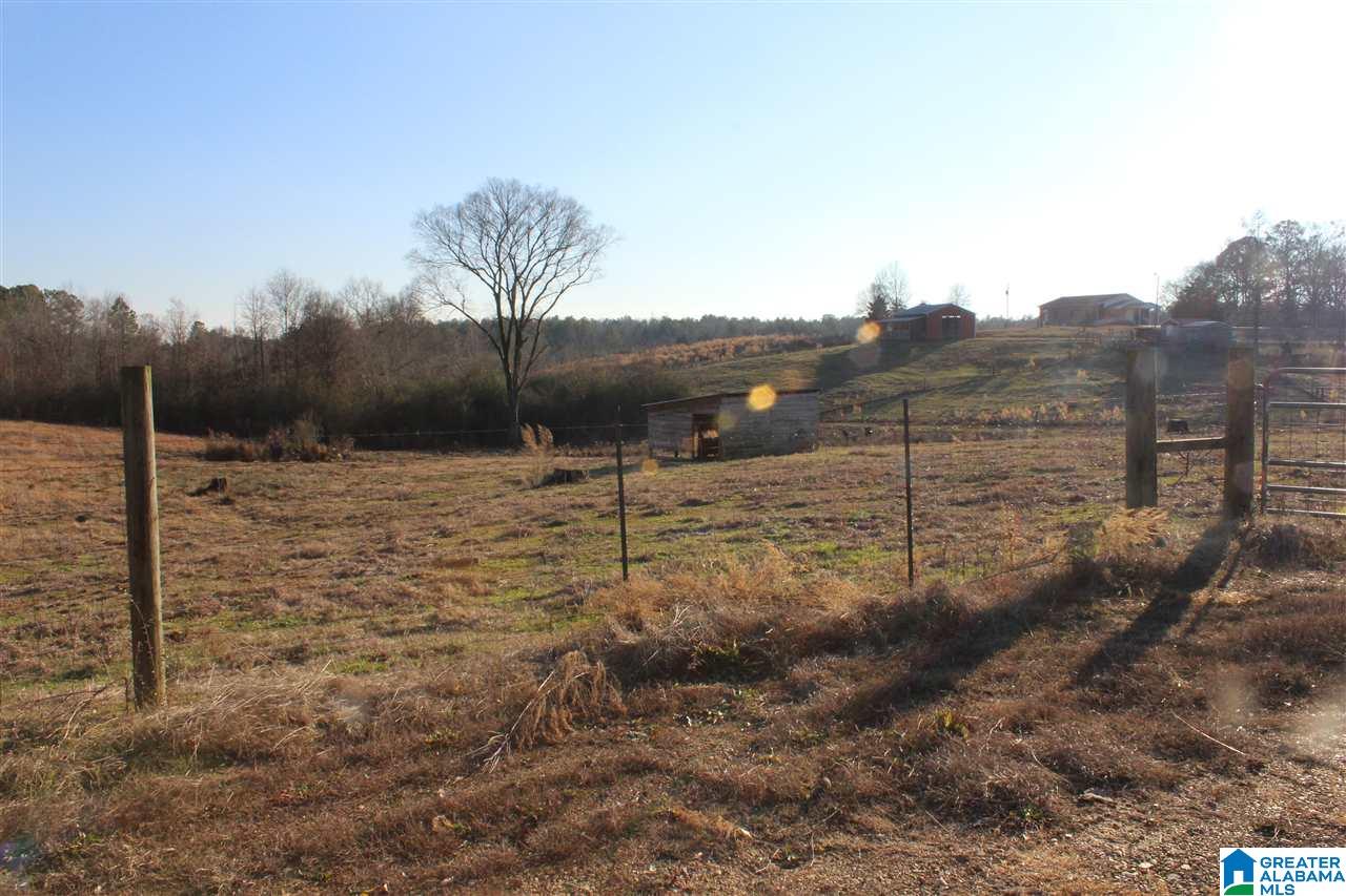 3601 Brookside Road Brilliant, AL 35548 - Photo 33 of 33