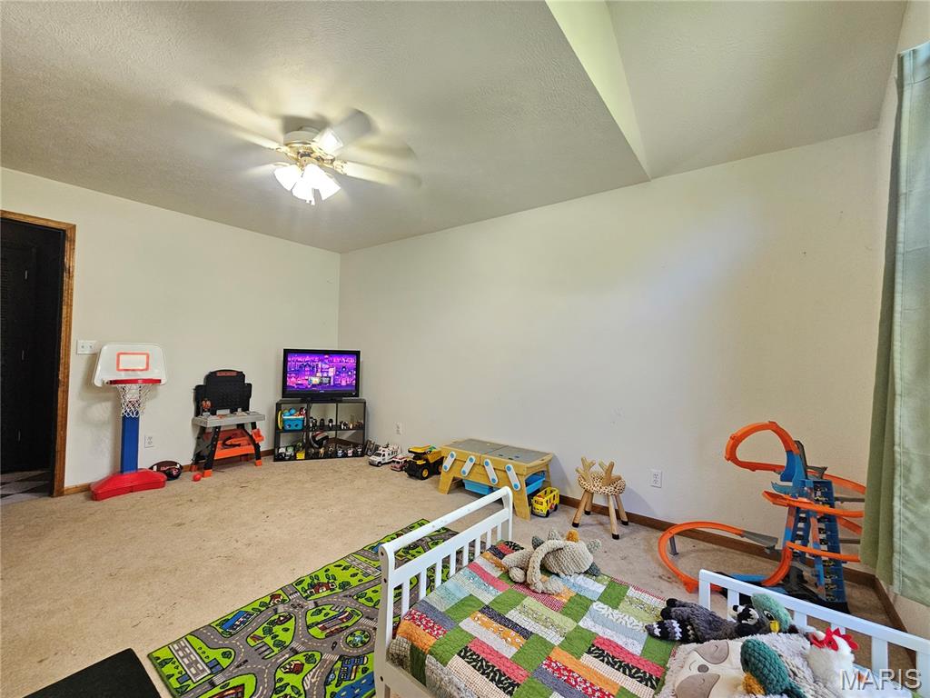 31050 Oak Ridge Drive Lebanon, MO 65536 - Photo 24 of 41