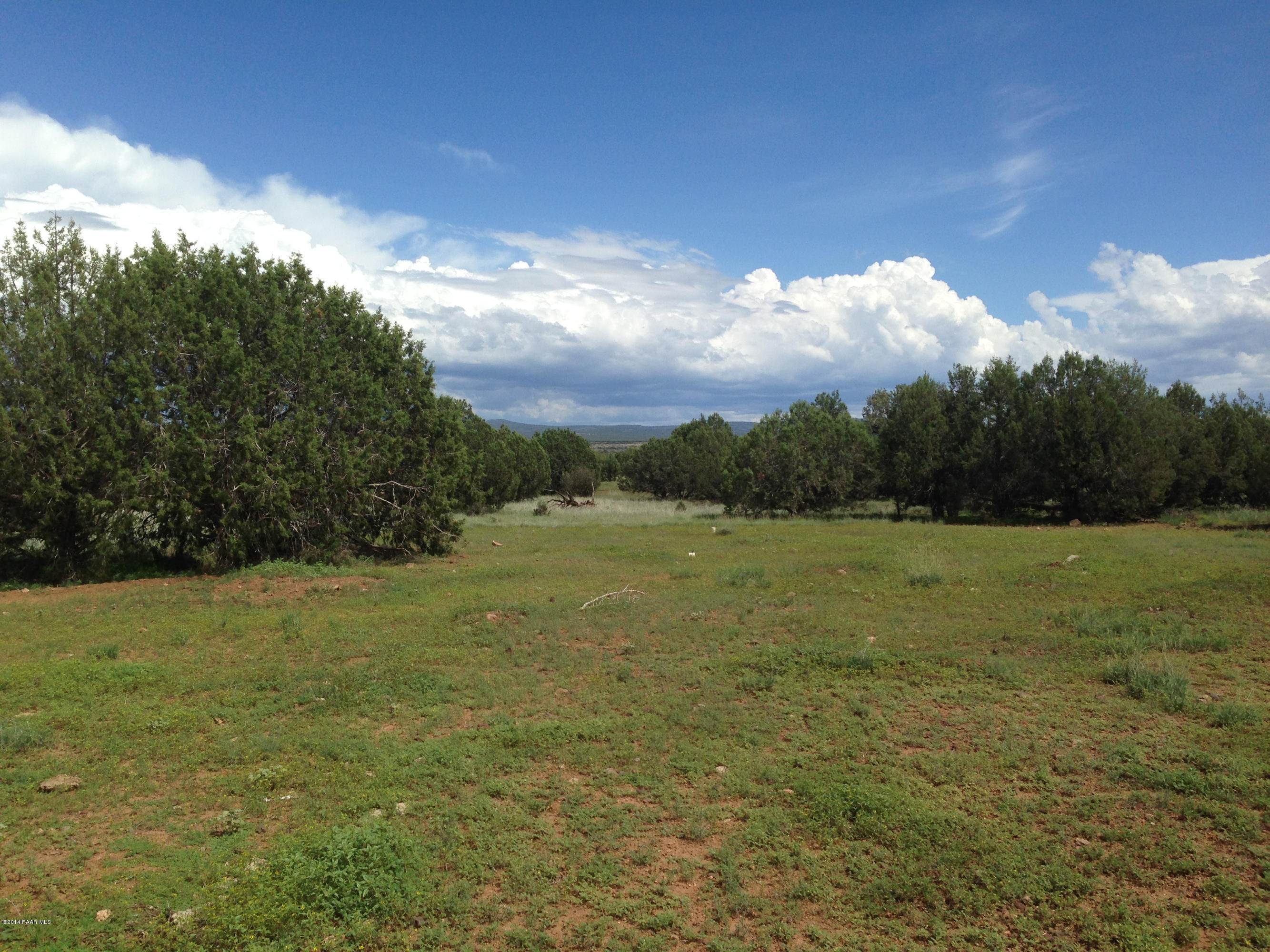 1915 Cumberland Road Williams, AZ 86046 - Photo 13 of 19 2014-08-18 14