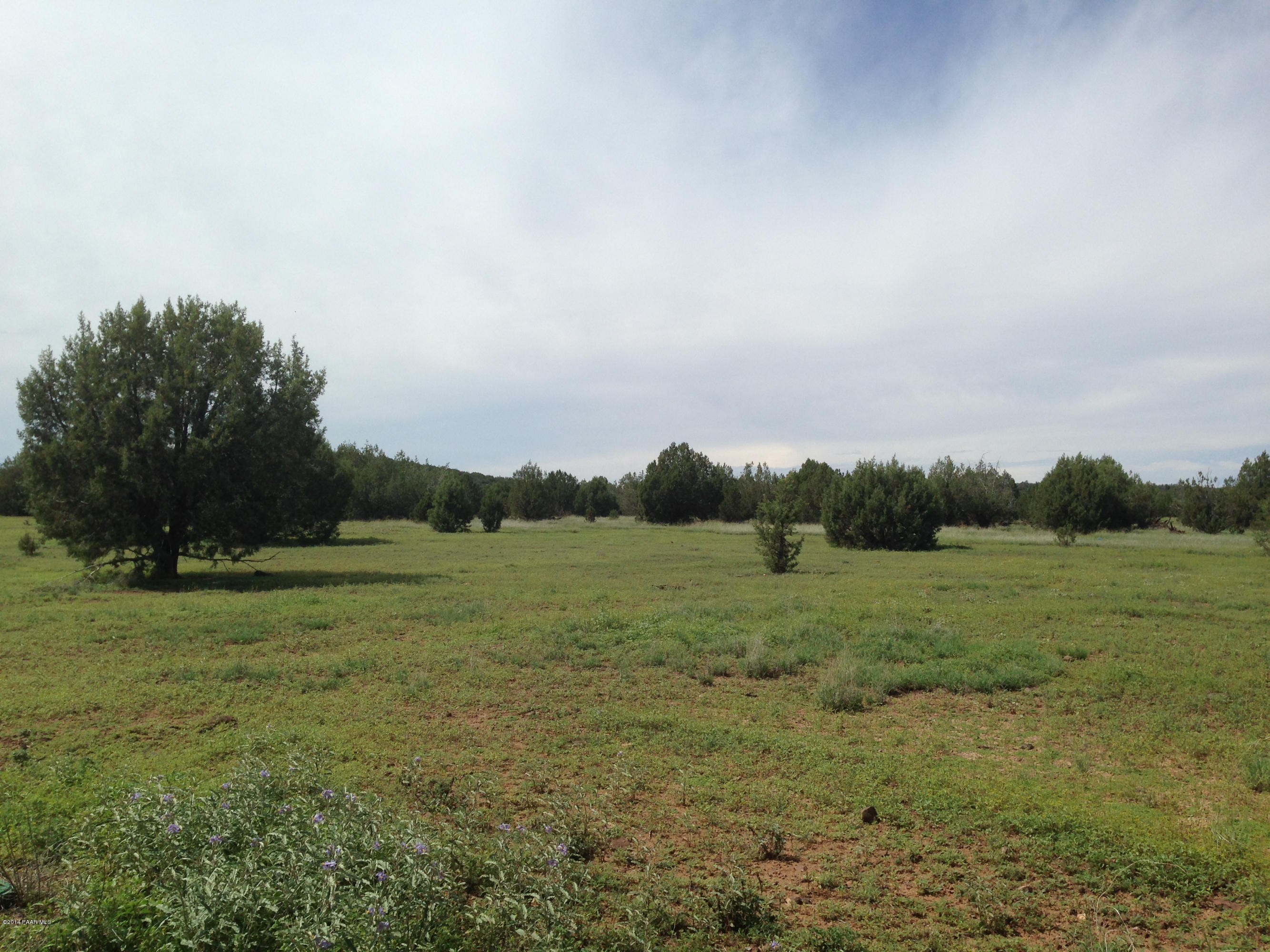 1915 Cumberland Road Williams, AZ 86046 - Photo 15 of 19 2014-08-18 14