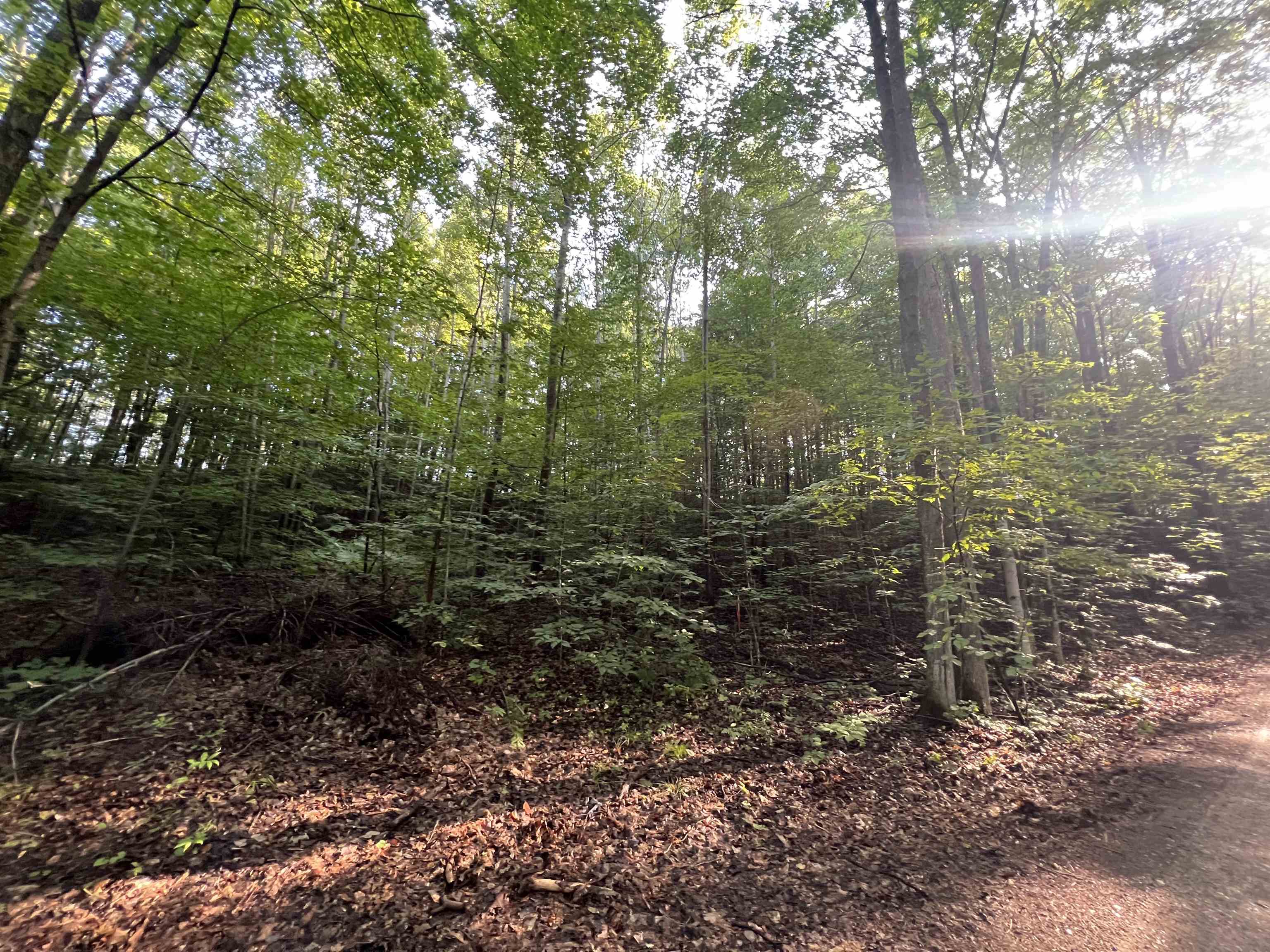 0 Narrow Gauge Road, Unit PARCEL B Beulah, MI 49617 - Photo 6 of 6