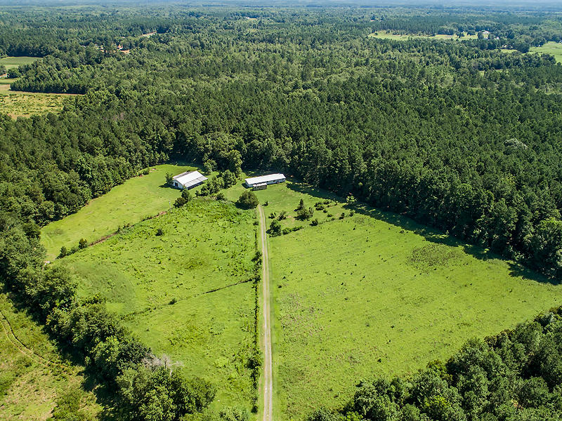 744 Oakman Branch Road Walterboro, SC 29488 - Photo 9 of 20 DJI_0045
