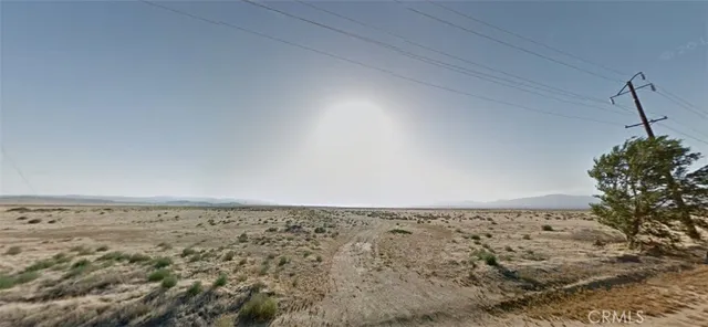 a view of a dry yard with wooden fence