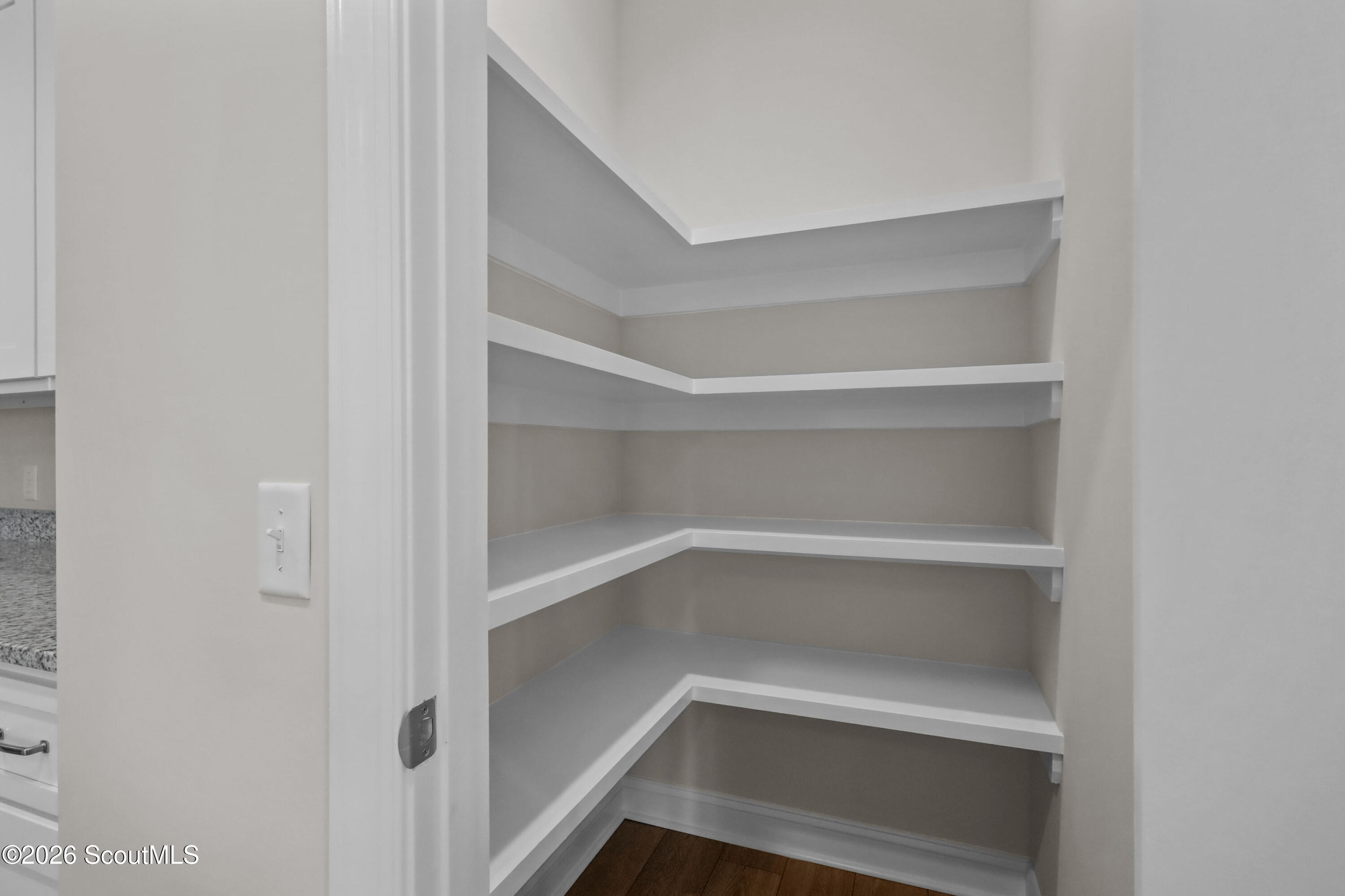 220 Allie Loop Brunswick, GA 31525 - Photo 17 of 30 Pantry