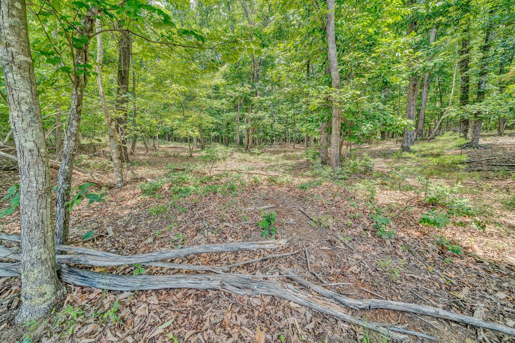 0 Ivyland Road Roanoke, VA 24014 - Photo 13 of 15 IMG_0203