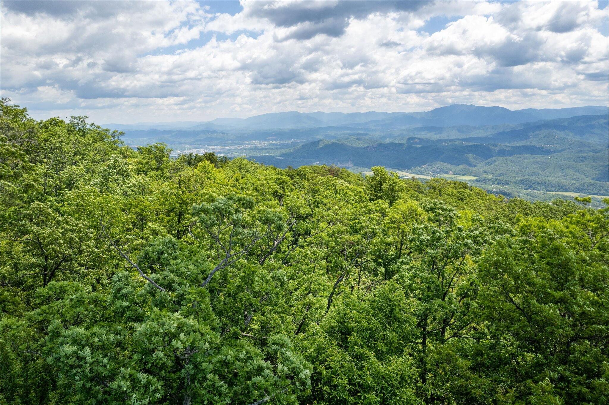 3 Tower Road Sevierville, TN 37862 - Photo 4 of 14
