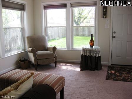 4238 Colony Road South Euclid, OH 44121 - Photo 9 of 24 Family Room overlooking the huge yard that is fenced on three sides