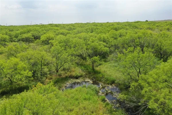 a view of a green field with lots of bushes