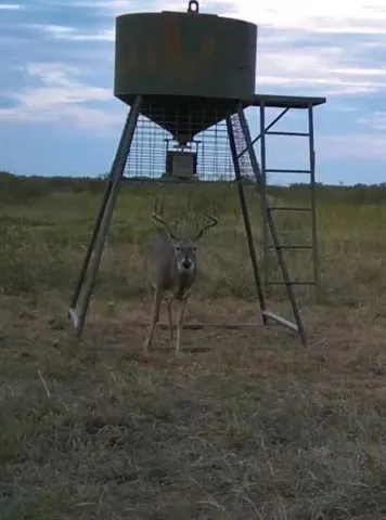 a view of an outdoor space