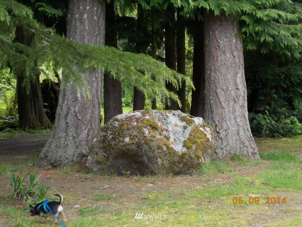 453 Gossett Road Port Angeles, WA 98363 - Photo 13 of 18 Gallery Image 13