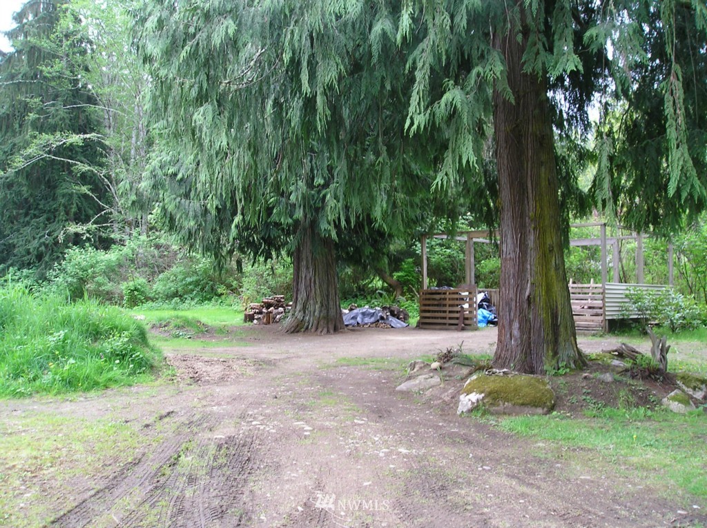 453 Gossett Road Port Angeles, WA 98363 - Photo 14 of 18 Gallery Image 14
