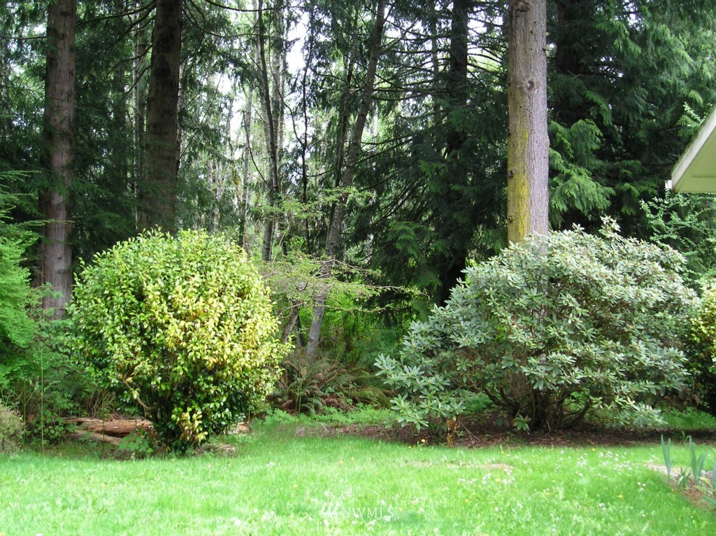 453 Gossett Road Port Angeles, WA 98363 - Photo 17 of 18 Gallery Image 17